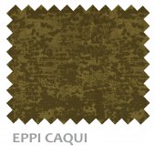 EPPI-CAQUI