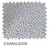 01 Camaleon