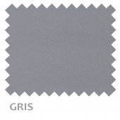 ARES-12-GRIS